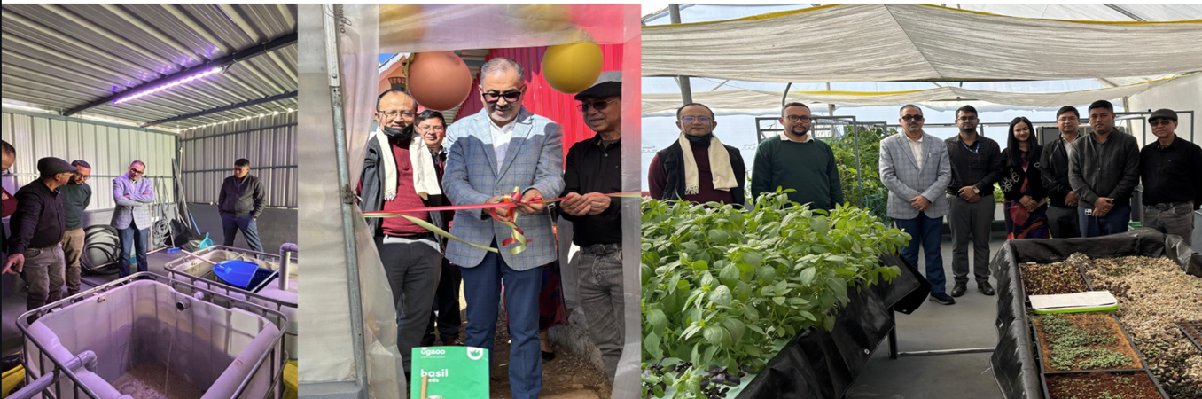 DG NECTAR inaugurated the Greenhouse Aquaponics Unit at Laitkor, Shillong on 19th November 2025