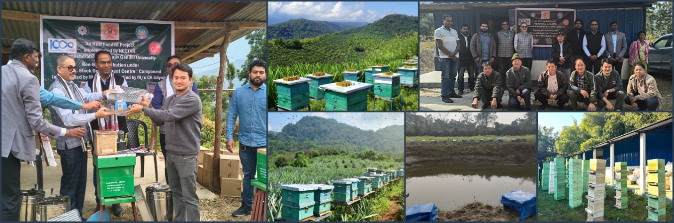 DG, NECTAR distributed the Bee Boxes and Colonies to 8 beneficiaries of Jote village in Papumpare district of Arunachal Pradesh