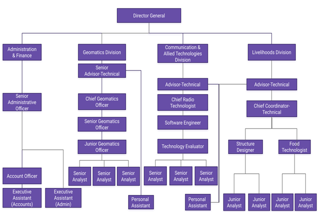 Organization Structure
